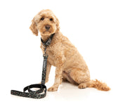 Savanna Dog Collar -FINAL SALE NO RETURNS OR EXCHANGES